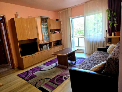 Apartament de vanzare 2 camere, zona Big Manastur