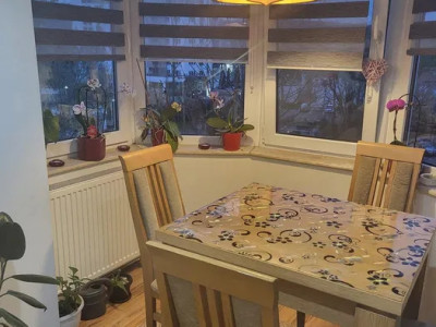 Apartament 2 camere Plopilor  zona Parcului Babes 