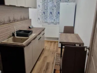 Apartament renovat de vanzare 3 camere strada Horea,zona centrala