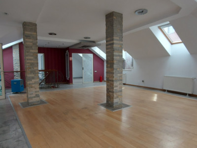Proprietate versatila in centrul Clujului, locuinta+birou in acceasi cladire
